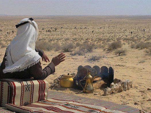 Watching camels graze whilst making coffee on the fire